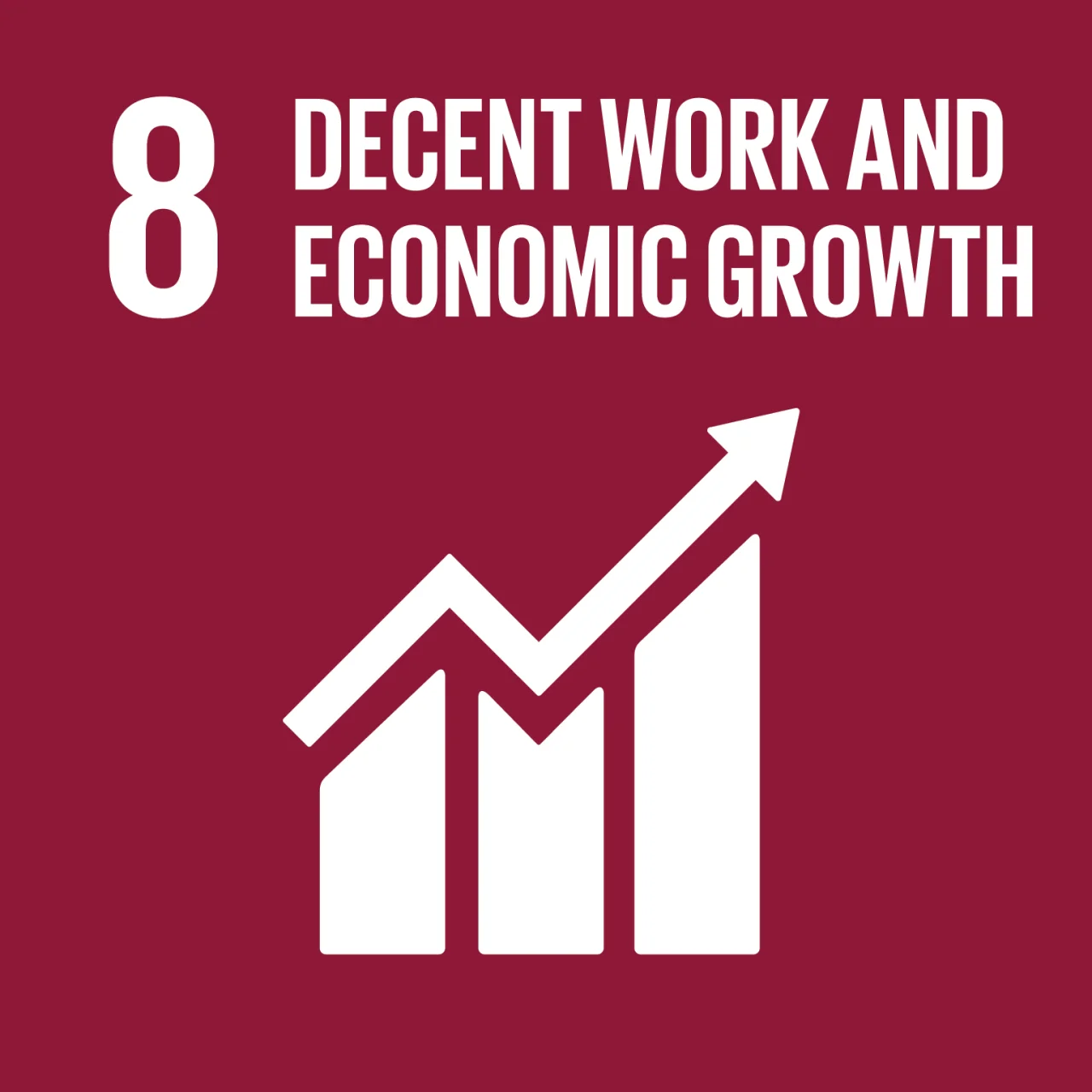 SDG 8 Decent Work & Economic Growth Alignment - Initiative Beyond Limits (IBL) Tanzania NGO